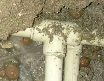 启东测漏水多少钱