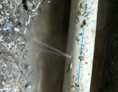 启东测漏水哪家好