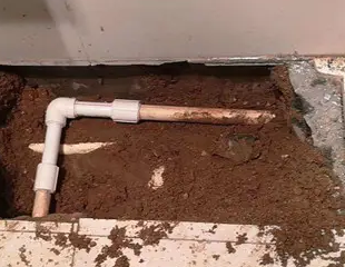 启东测漏水哪家好