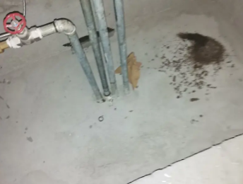 启东卫生间测漏水价格明细