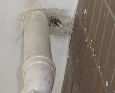 启东漏水检测哪家好